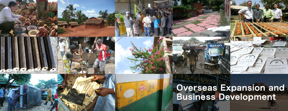 Overseas Expansion and Business Development